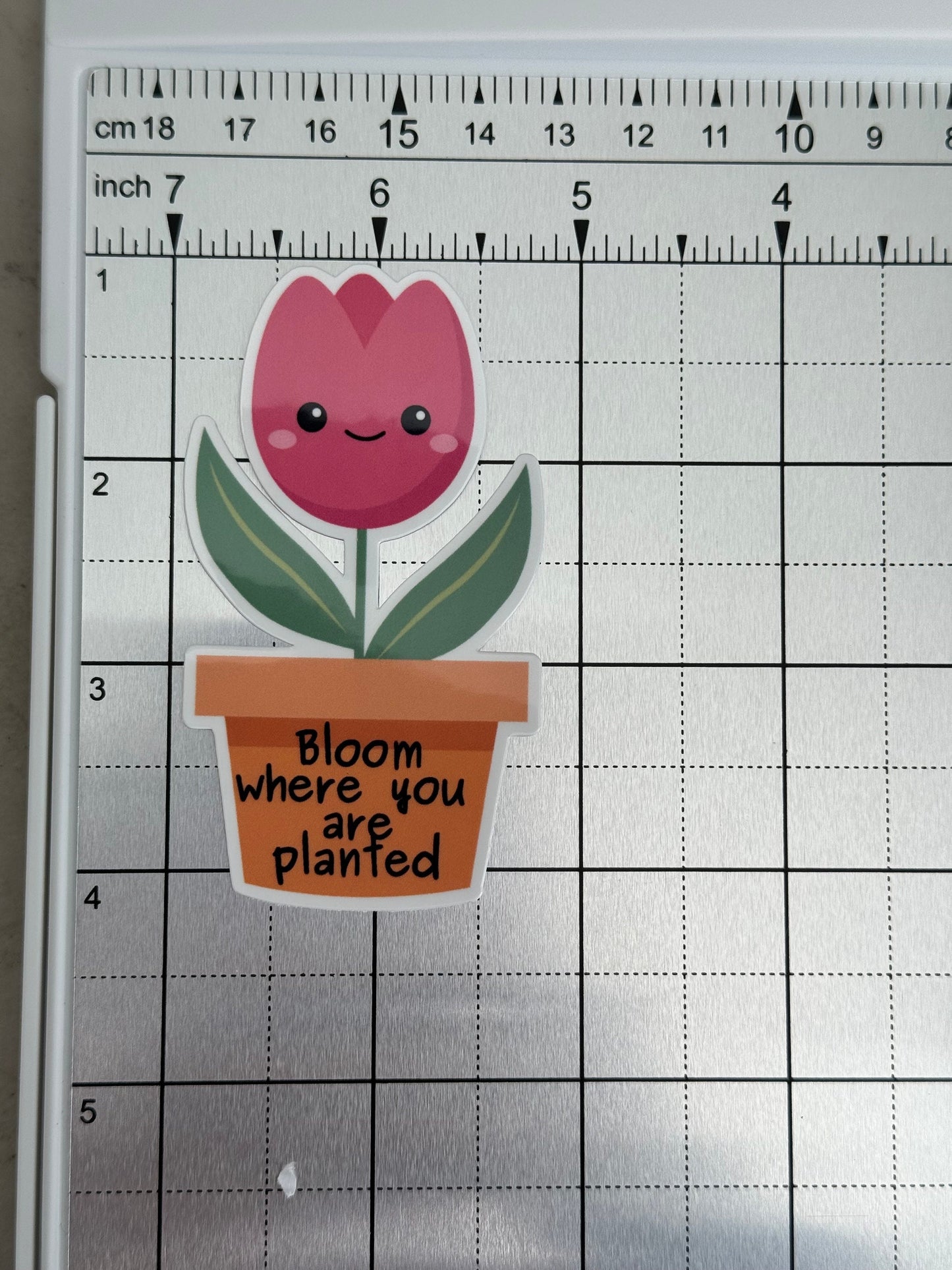 Bloom Where You Are Planted Sticker, Motivational Plant Decal