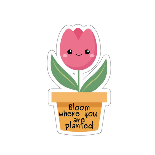 Bloom Where You Are Planted Sticker, Motivational Plant Decal