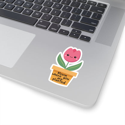 Bloom Where You Are Planted Sticker, Motivational Plant Decal