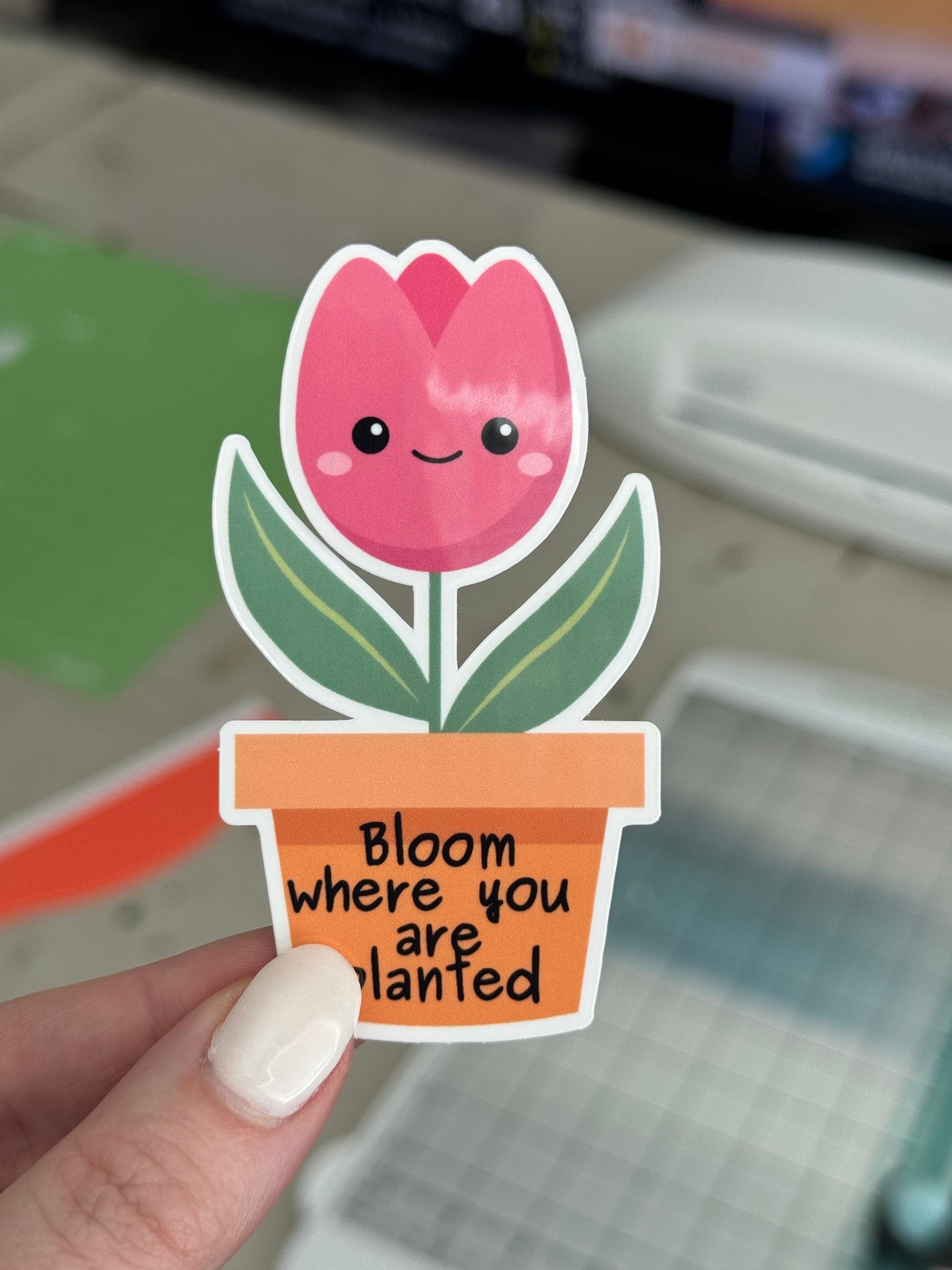 Bloom Where You Are Planted Sticker, Motivational Plant Decal